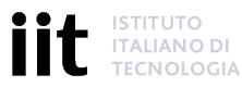 ISTITUTO ITALIANO DI TECNOLOGIA