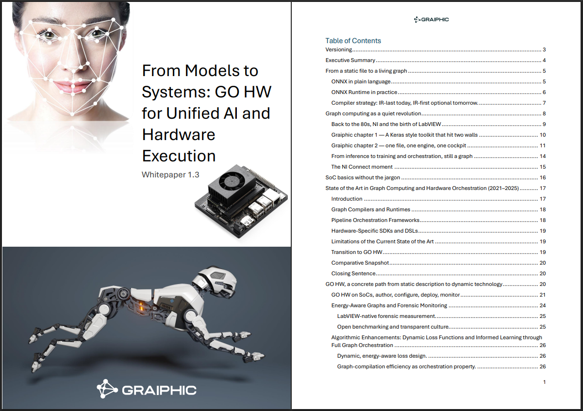 Graiphic’s Roadmap with ONNX GO HW