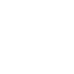 The Italian Institute of Artificial Intelligence (AI4I)